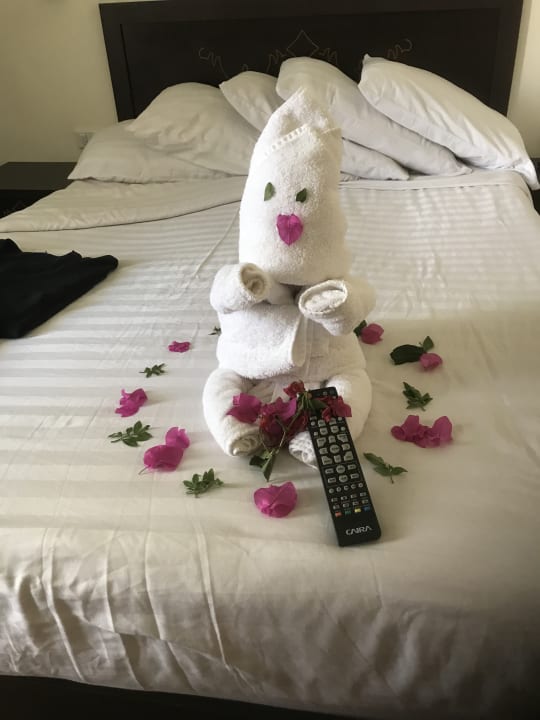 Zimmer Three Corners Sea Beach Resort