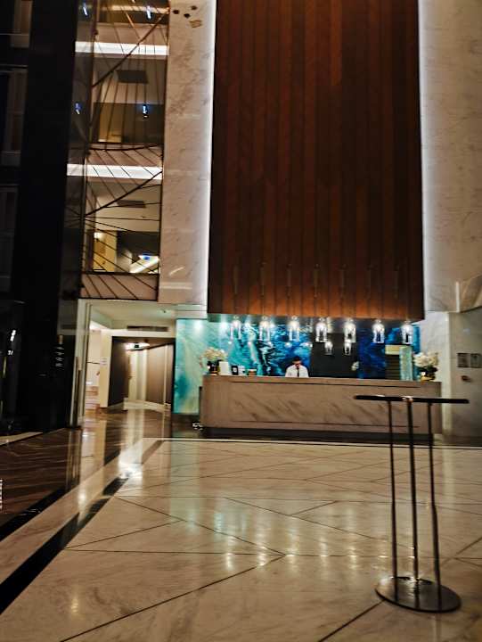 Lobby Calyptus Kirman Premium