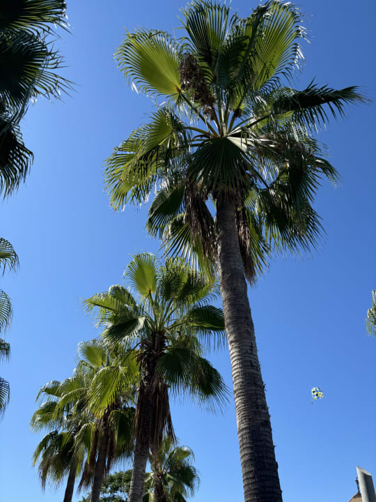 Pool Sentido Trendy Verbena Beach