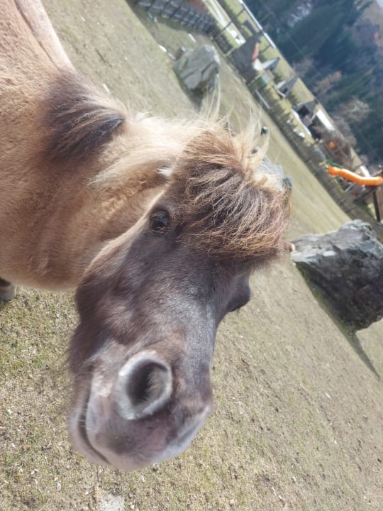 Sport & Freizeit Alphotel Tyrol