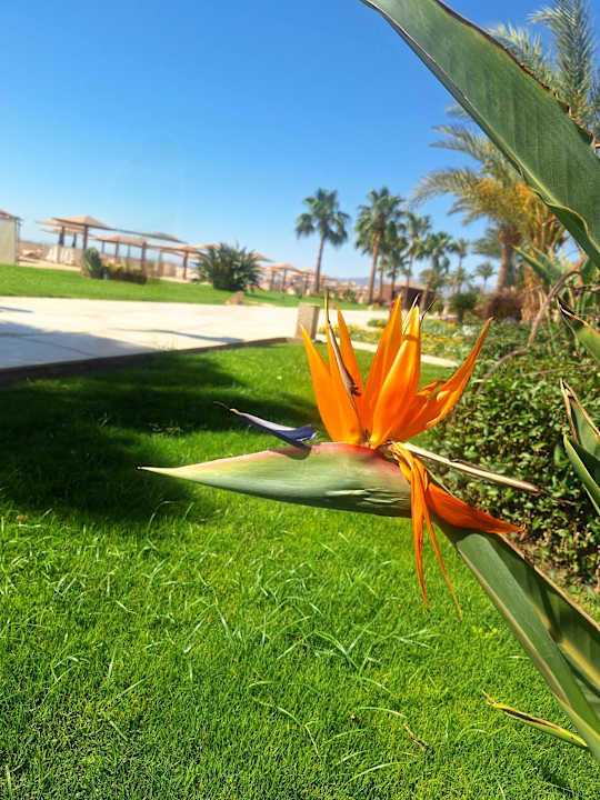 Strand Shams Safaga Resort