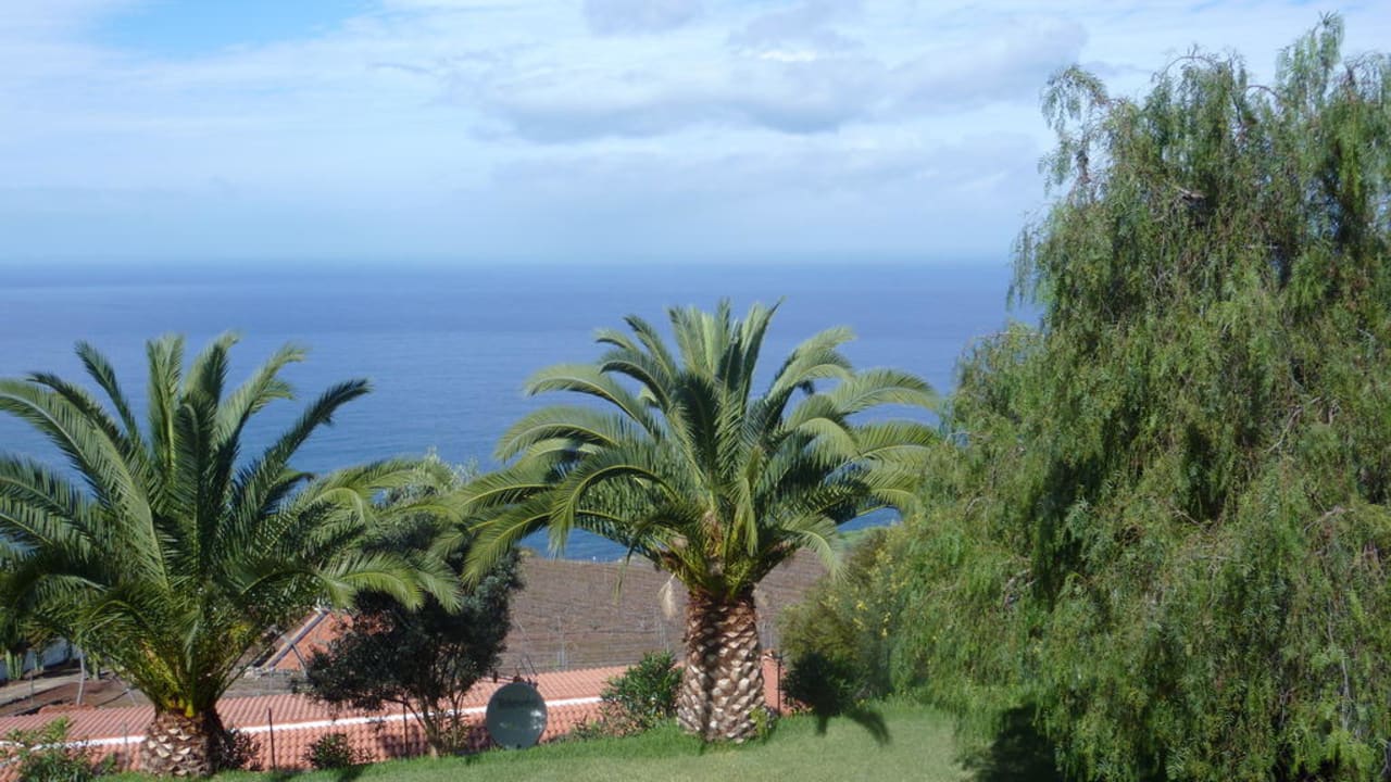 Blick über Palmen auf das Meer Residencial Rolando