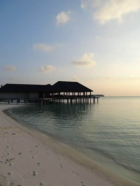 Overwater Restaurant Summer Island Maldives