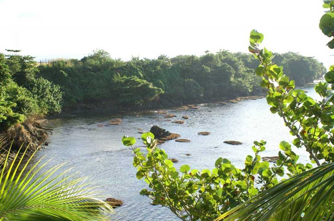 Blick in die Buch vom Hotel Hotel Porto Santo