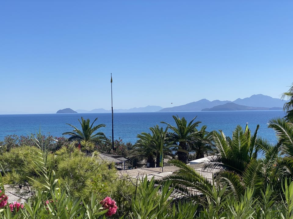 Ausblick ROBINSON DAIDALOS