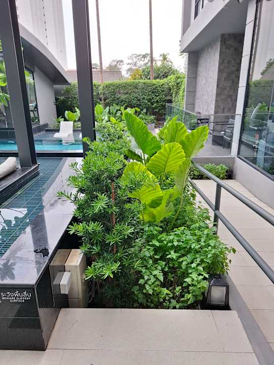 Gartenanlage Arden Hotel and Residence by At Mind