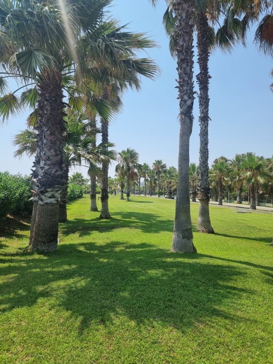 Gartenanlage VONRESORT Golden Coast