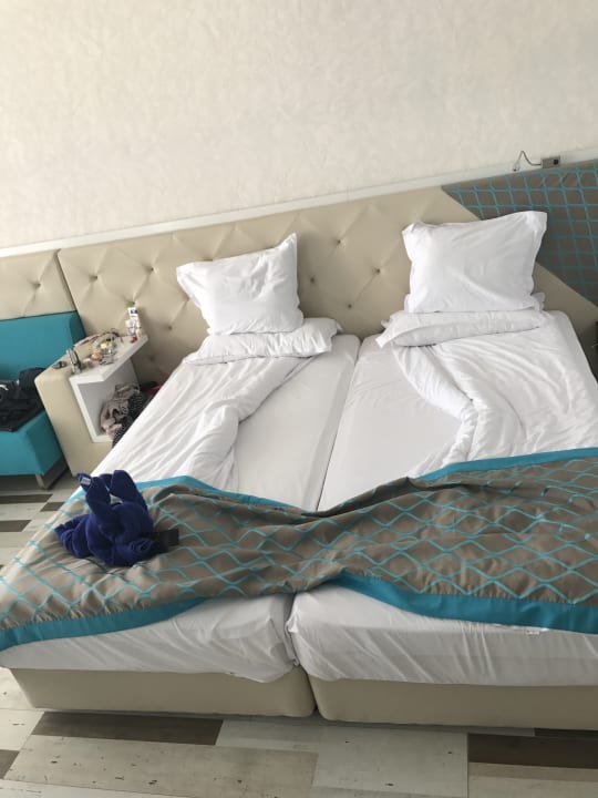 Zimmer Sentido Marea