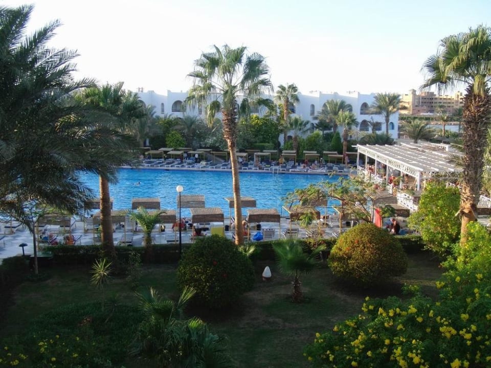 Blick auf den Pool Arabia Azur Resort