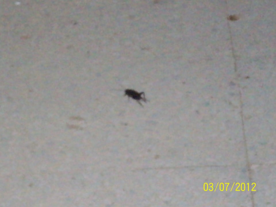 Sie fliegen Houda Golf & Beach Club