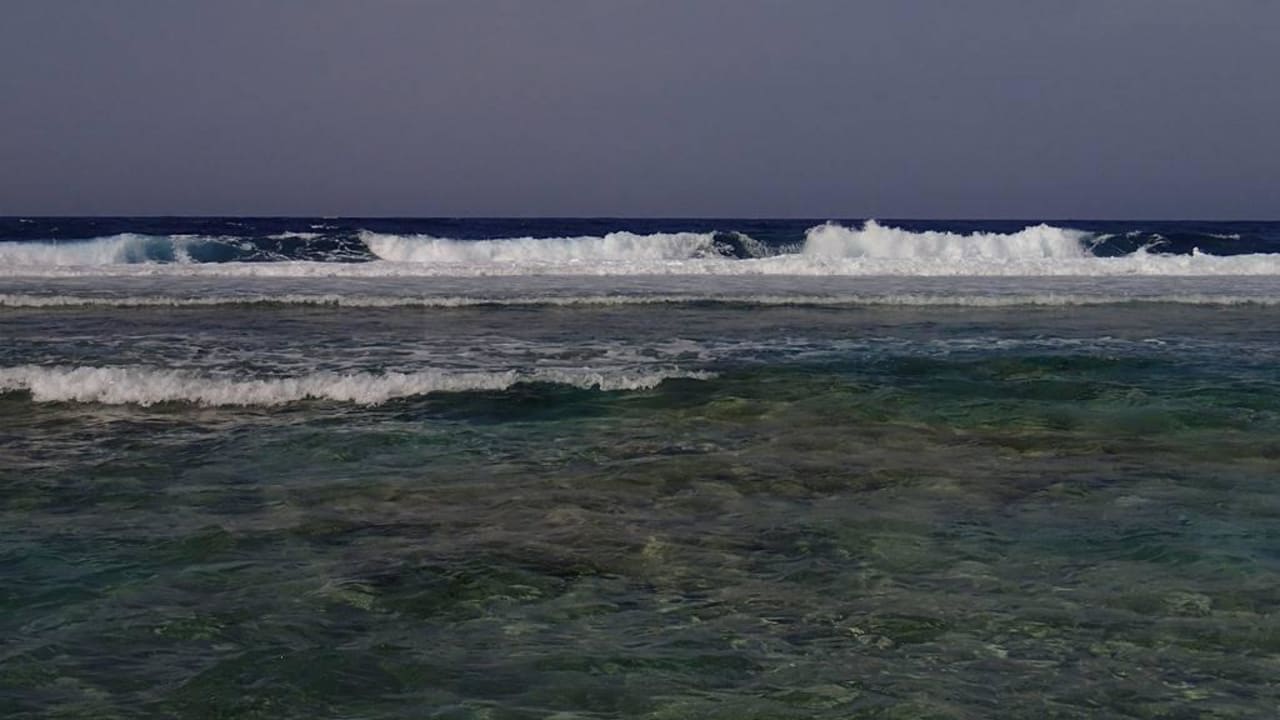 Widok z plaży- fale rozbijające się o rafę Three Corners Sea Beach Resort