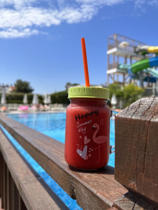 Gastro Seashell Vega