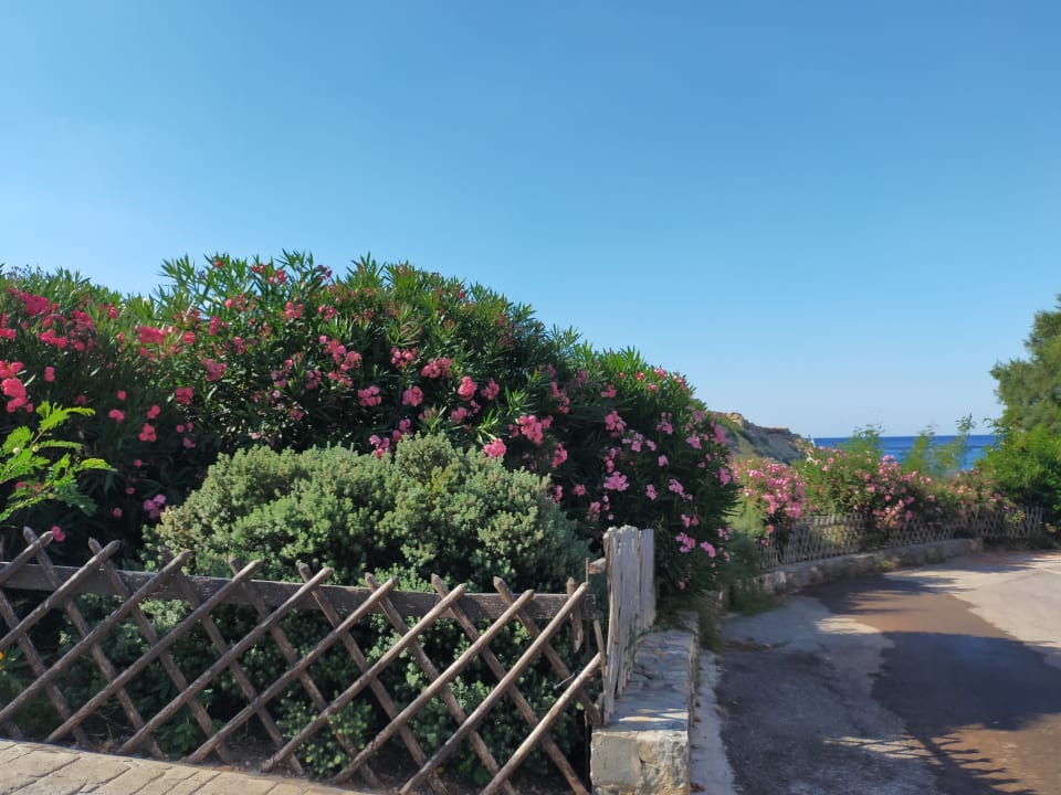 Gartenanlage Atlantica Mikri Poli Crete