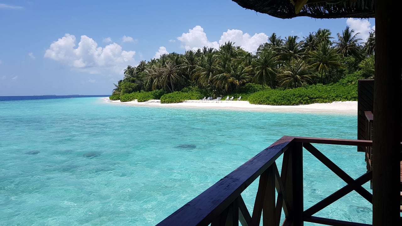 Zimmer Fihalhohi Maldives