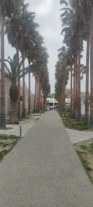 Gartenanlage Porto Bello Beach