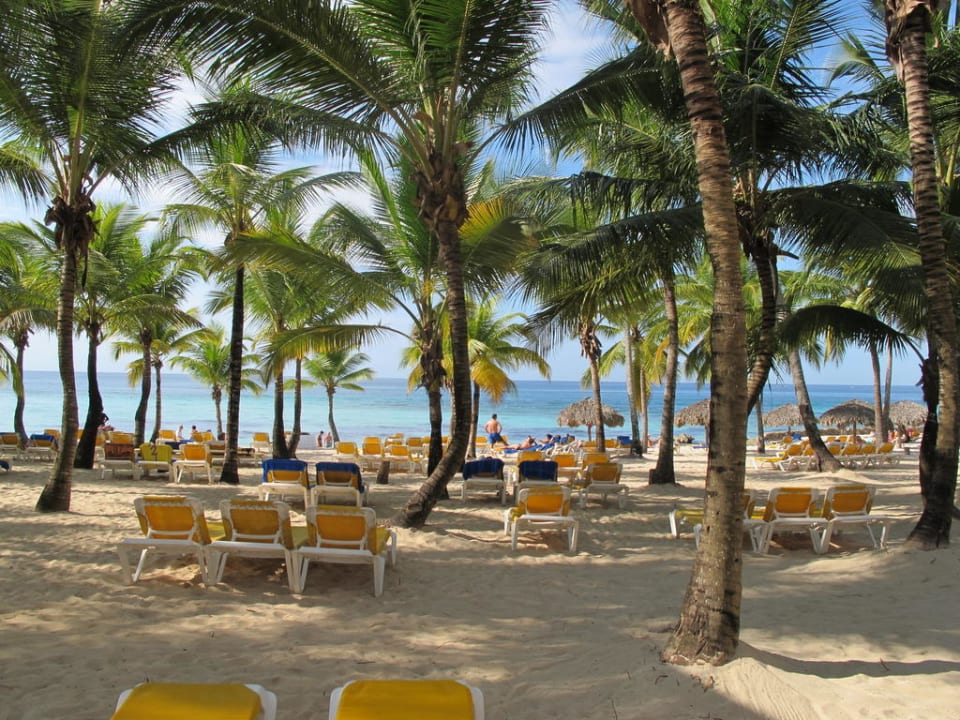 Palmenstrand Hotel Viva Dominicus Palace by Wyndham-All Inclusive Resort