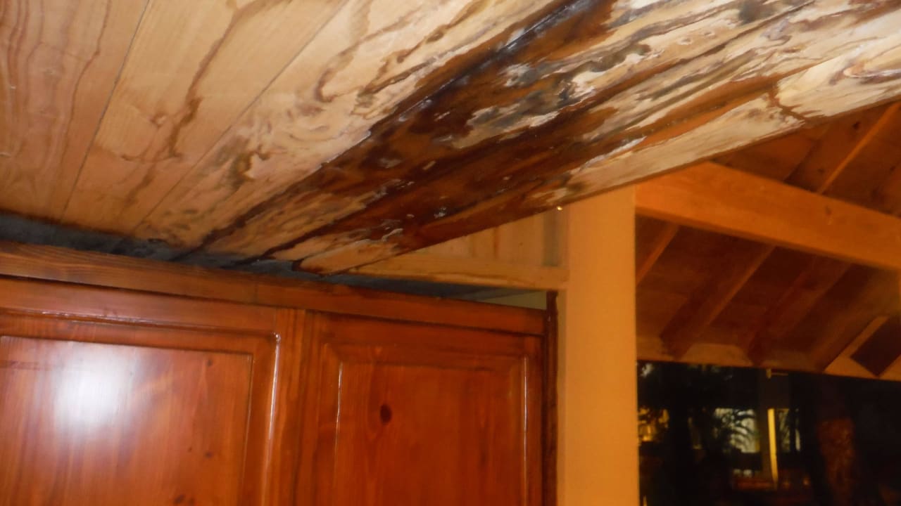 Bei Regen Wyndham Alltra Samana