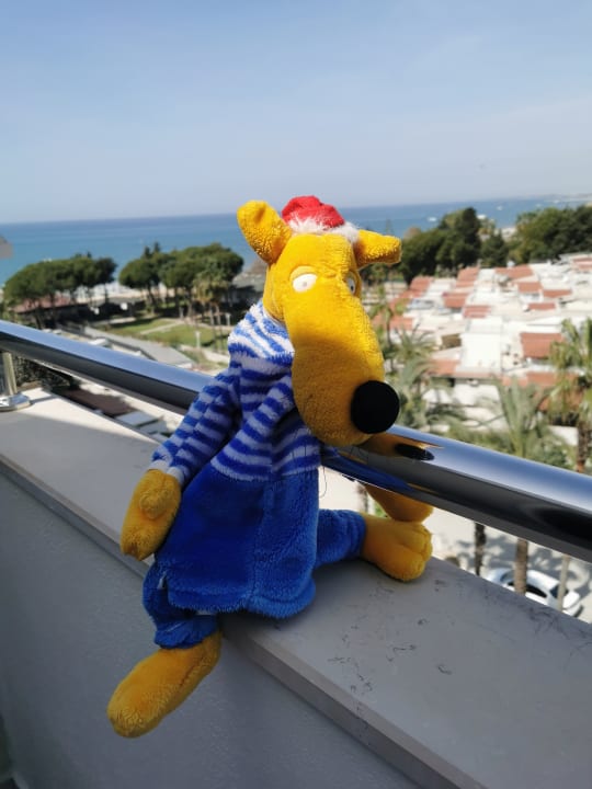 Sonstiges Trendy Palm Beach (Adults Only, 16+)