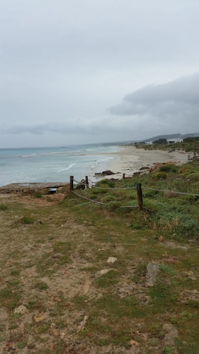 Strand FERGUS Club Carema Splash