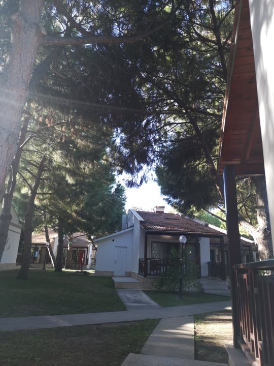 Außenansicht Kustur Club Holiday Village