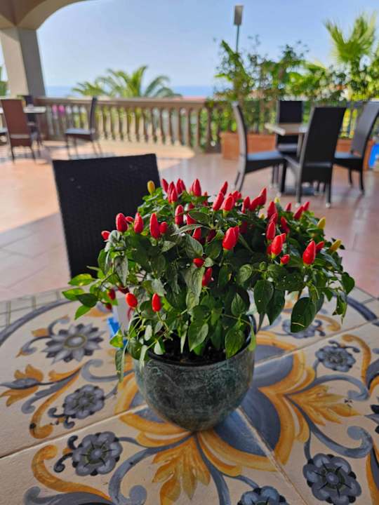 Gastro Aldiana Club Rocca Nettuno Calabria