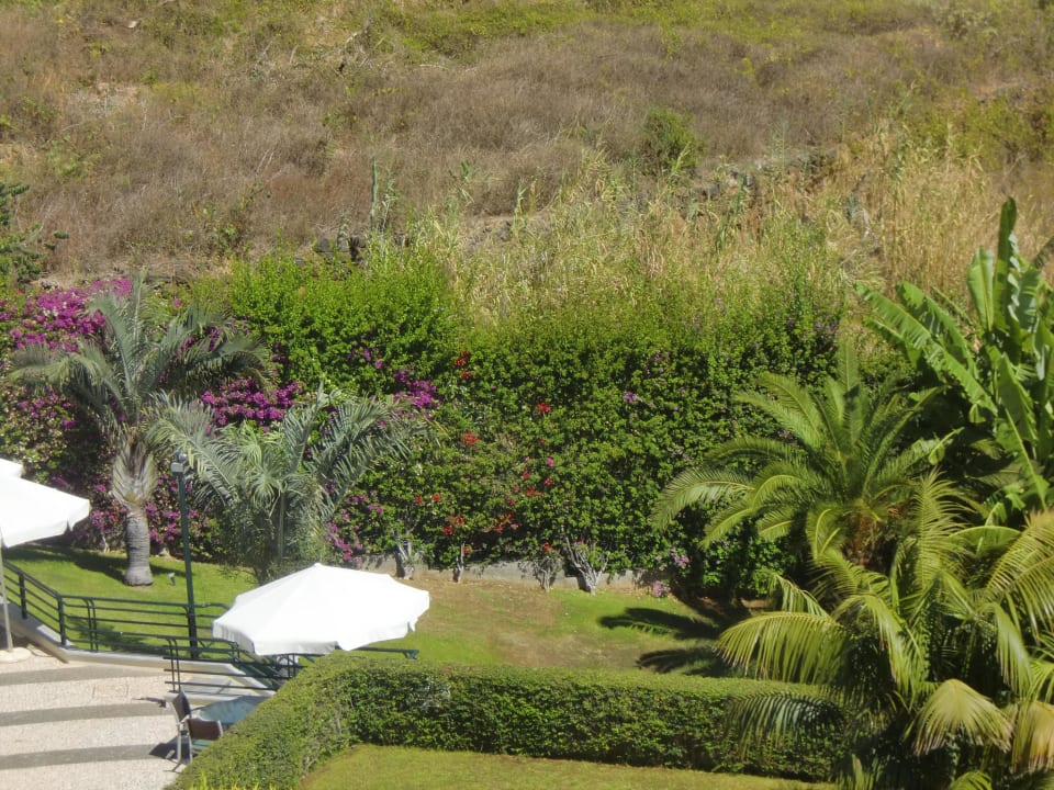 Außenbereich des Hotels Hotel Madeira Panoramico