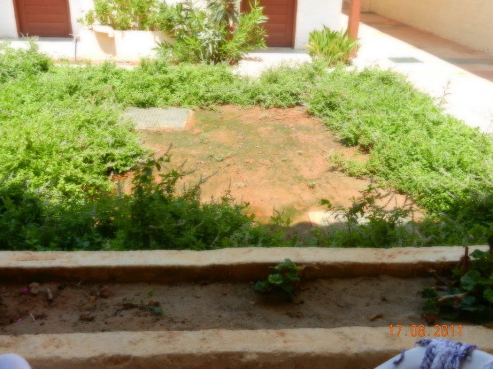 "Gepflegte" Gartenanlage? - naja... allsun Hotel Carolina Mare