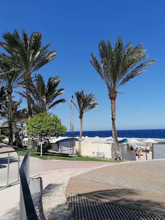 Strand Serenity Alpha Beach