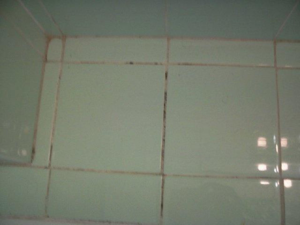 Schimmel im Bad Hotel Saboia