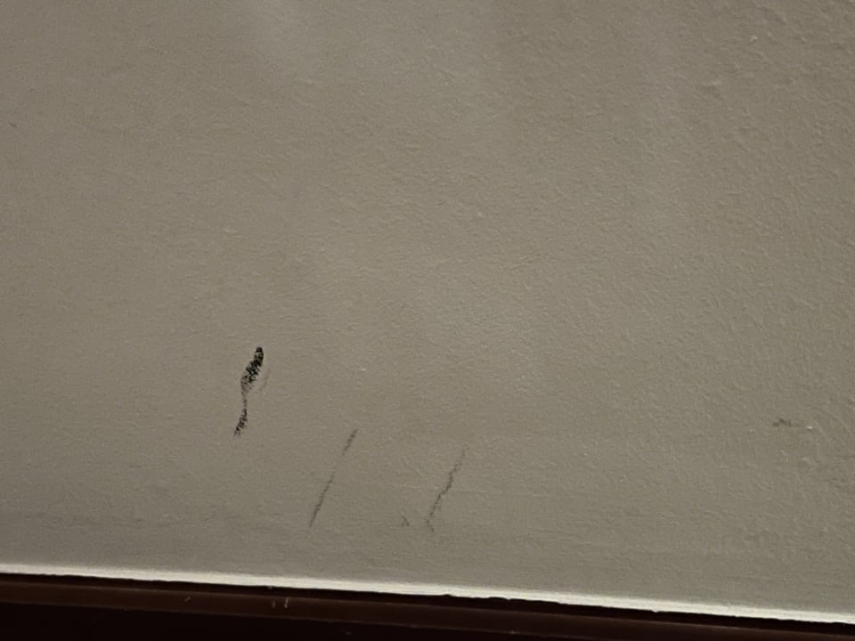 Zimmer Grand Hotel Adriatic I + II