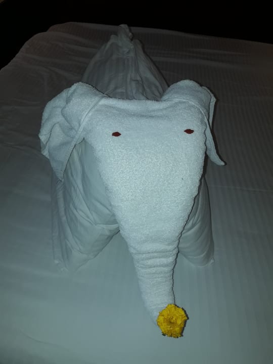 Zimmer Malikia Resort Abu Dabbab