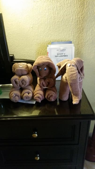 Handtuchtiere Hotel Riu Tequila