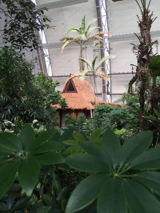 Regenwald Tropical Islands Resort