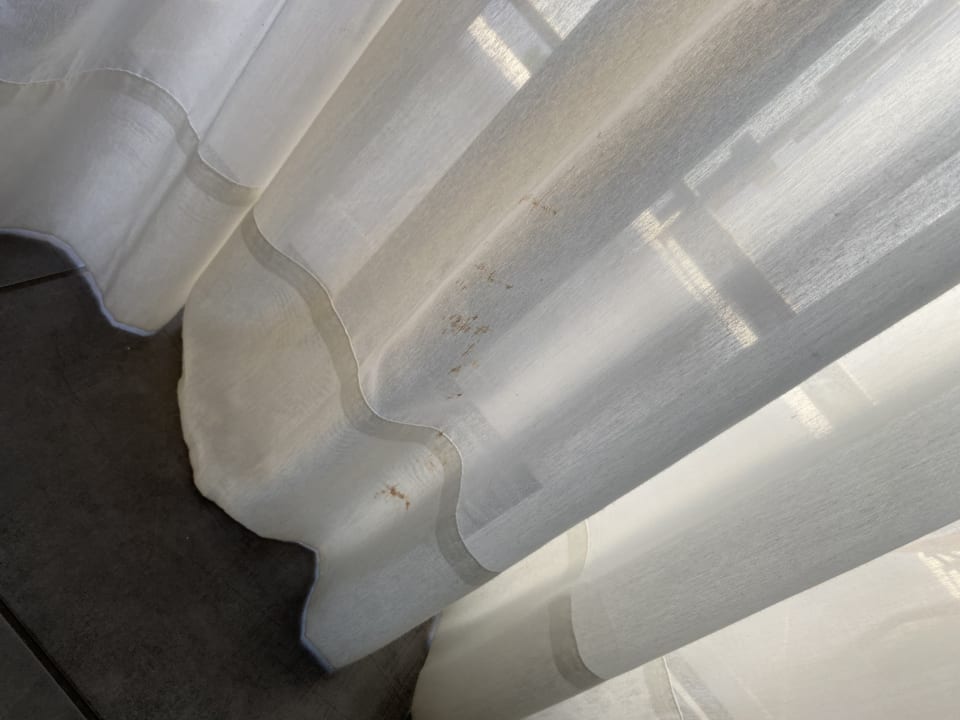 Zimmer Butterfly Hotel