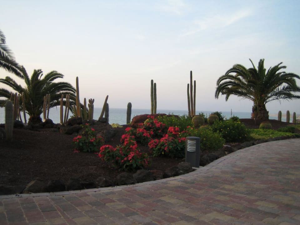 Außenanlage R2 Pajara Beach