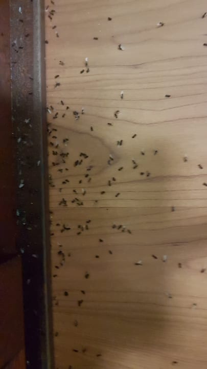 Zimmer Doubletree by Hilton Bodrum Isil Club All-Inclusive Resort