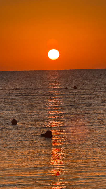 Strand Sentido Reef Oasis Suakin