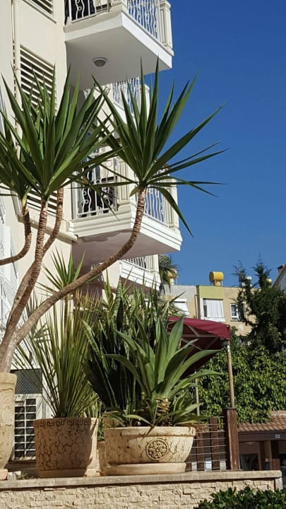 Am Pool Riviera Hotel & Spa