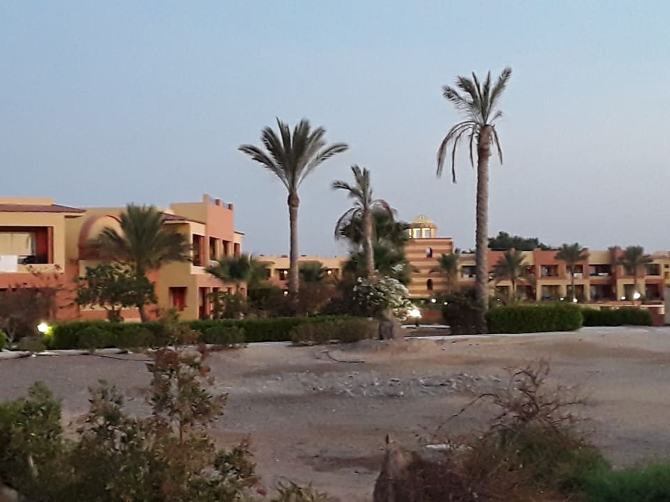 Ausblick Malikia Resort Abu Dabbab