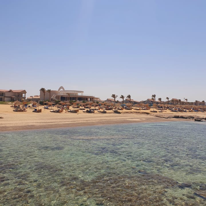Strand Pickalbatros Sea World Resort - Marsa Alam