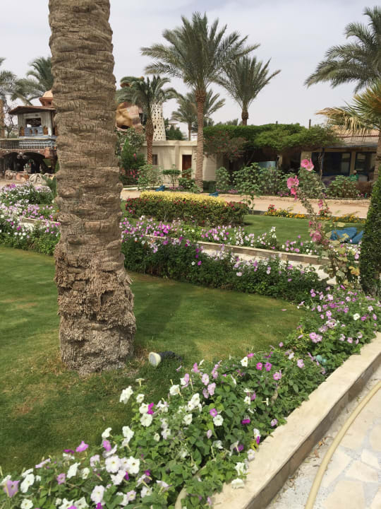 Gartenanlage Seagull Beach Resort
