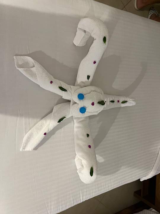 Zimmer Lazuli Hotel Marsa Alam