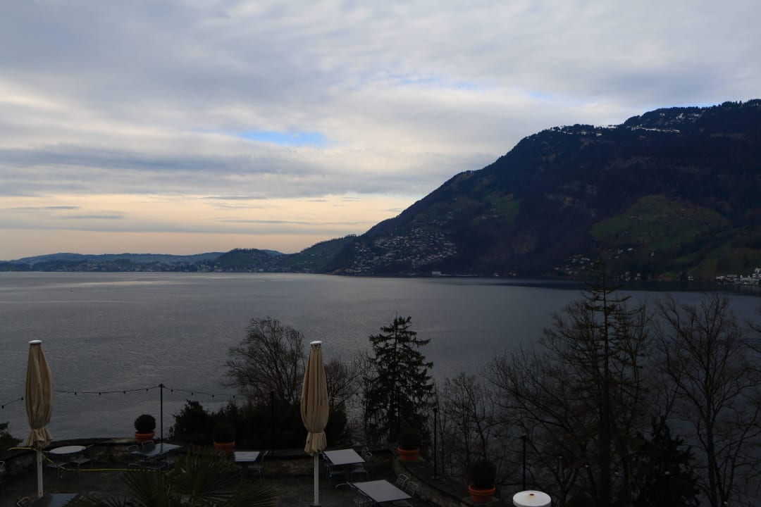 Blick auf den Vierwaldstättersee See- und Seminarhotel FloraAlpina