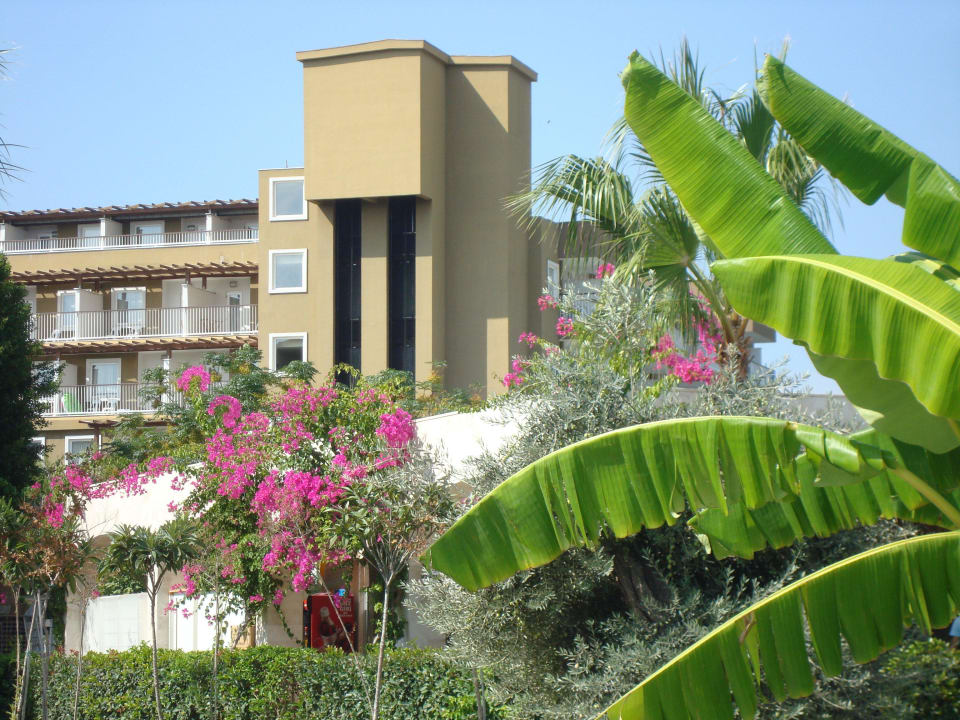 Сад отеля Marvida Family Eco