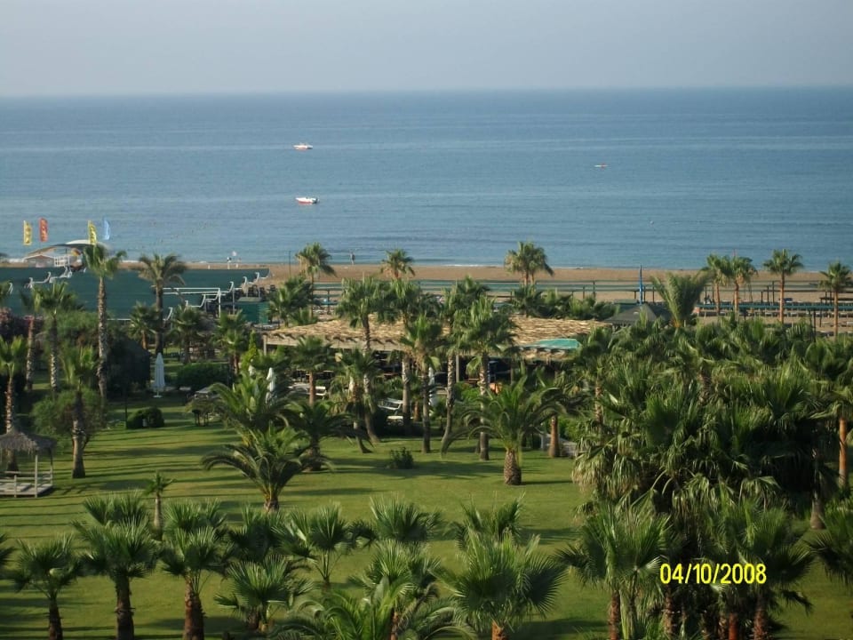 Meerblick Royal Atlantis Beach Hotel