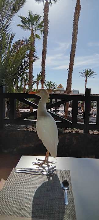 Gastro Occidental Jandía Royal Level - Adults only