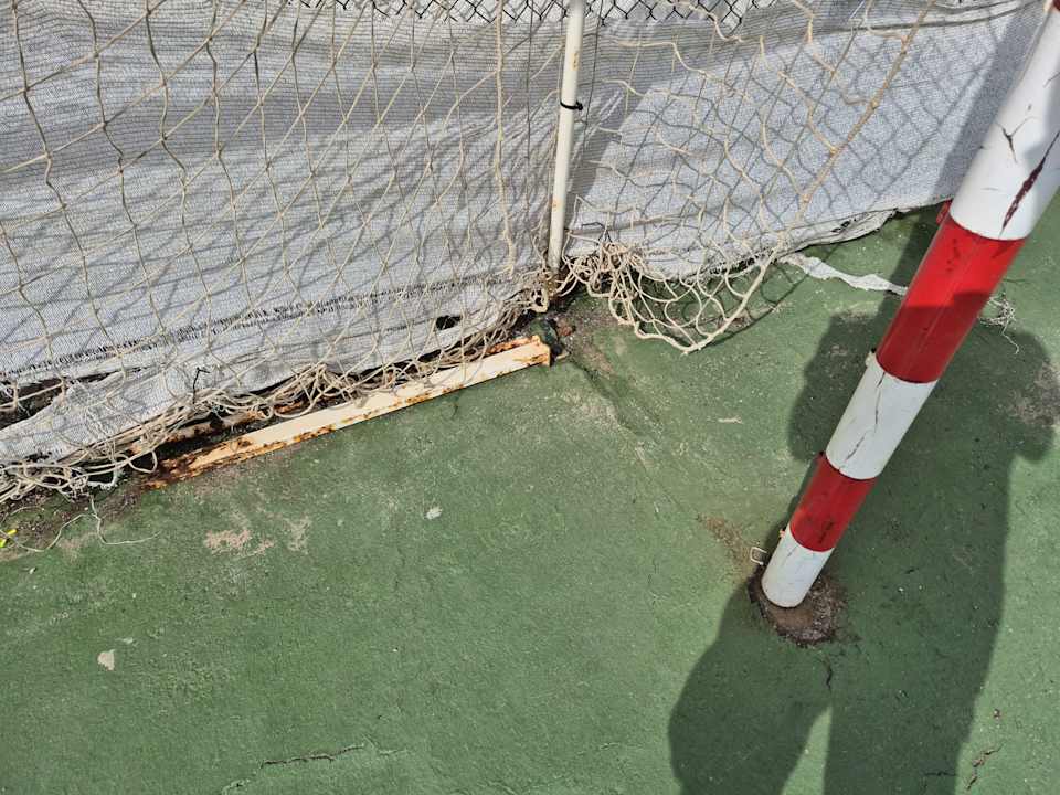 Sport & Freizeit Globales Bouganvilla