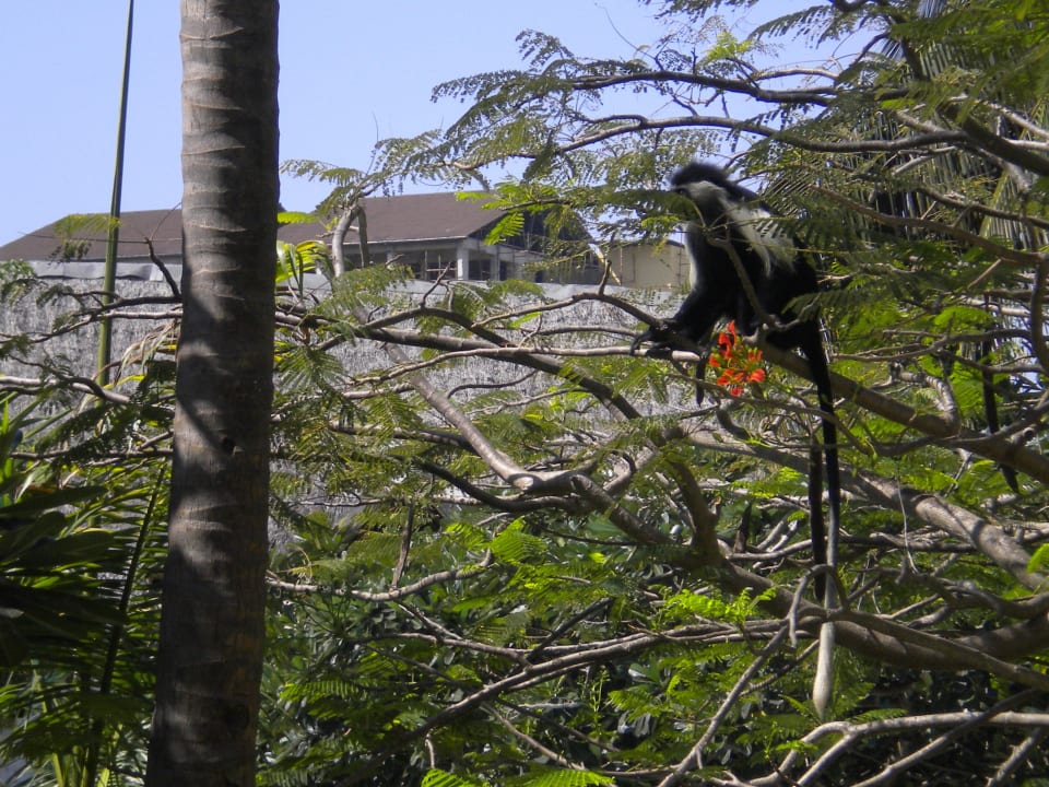 Besucher Hotel Southern Palms Beach Resort