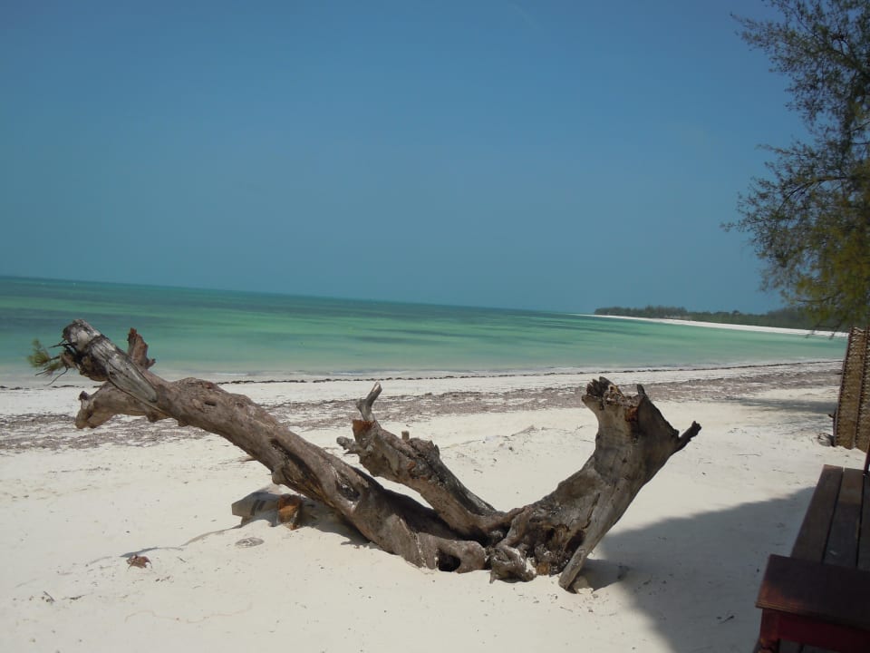 Strand Hotel Michamvi Sunset Bay