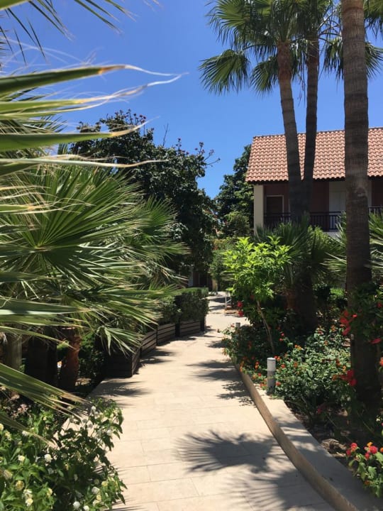 Gartenanlage ROBINSON CYPRUS